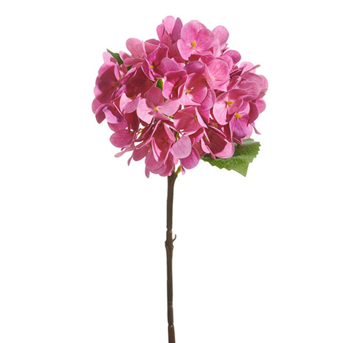 18 Hot Pink Hydrangea Stem