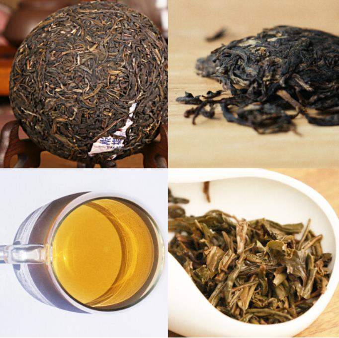 2010 DaYi "Gong Tuo" (Tribute) Tuo 100g Puerh Sheng Cha Raw Tea - King Tea Mall