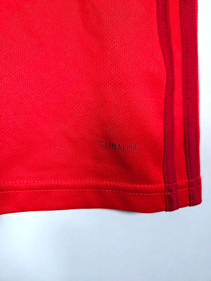 2018 Belgium Home Shirt - detailed view