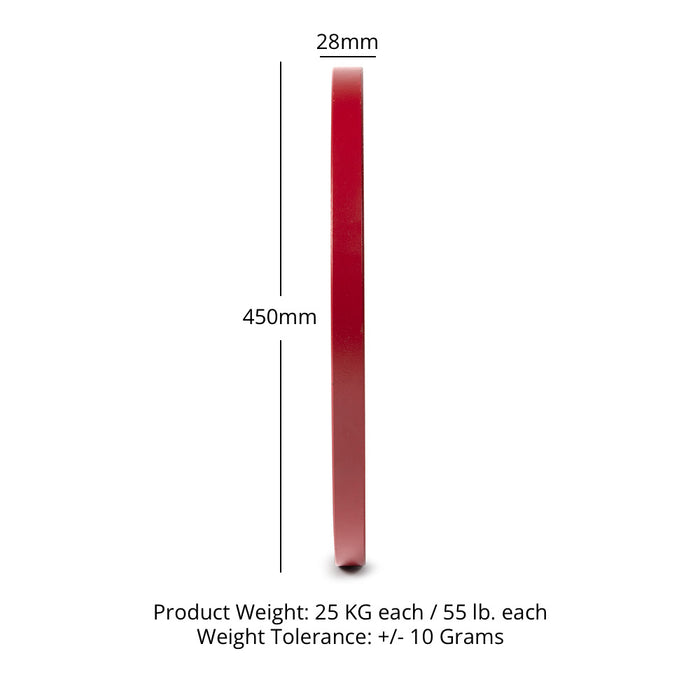 25 KG Single Calibrated Steel Plate