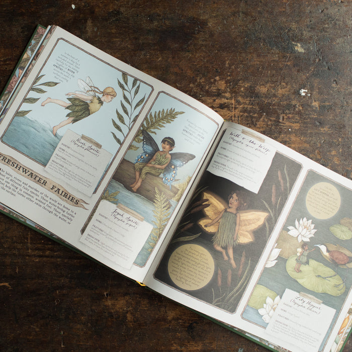 A Natural History Of Fairies
