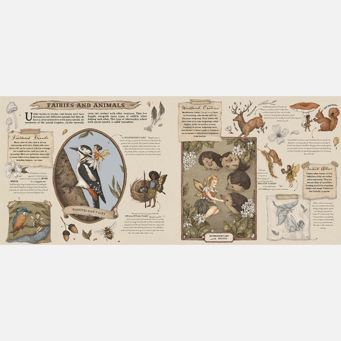 A Natural History Of Fairies
