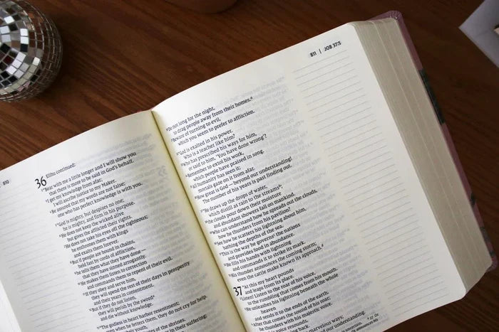 Artisan Collection Bible NIV LP | Blushed Floral