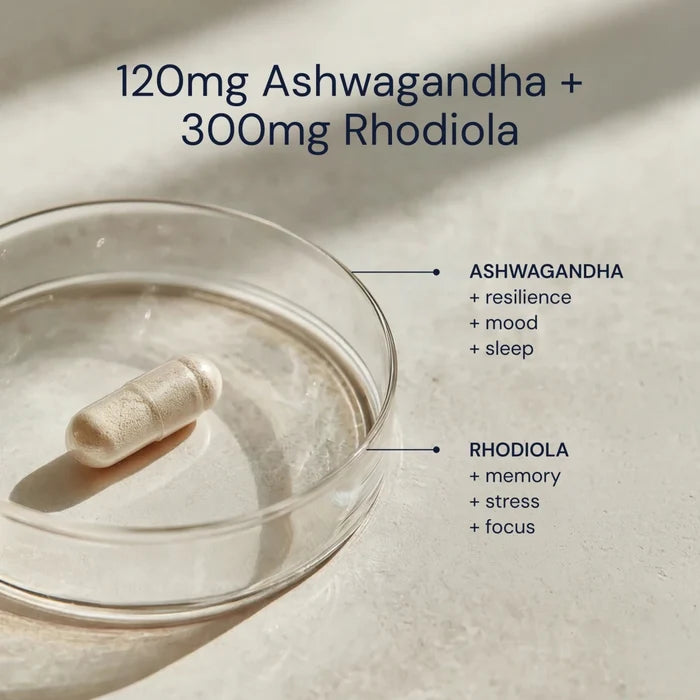 Capsule with Ashwagandha and Rhodiola on a light background
