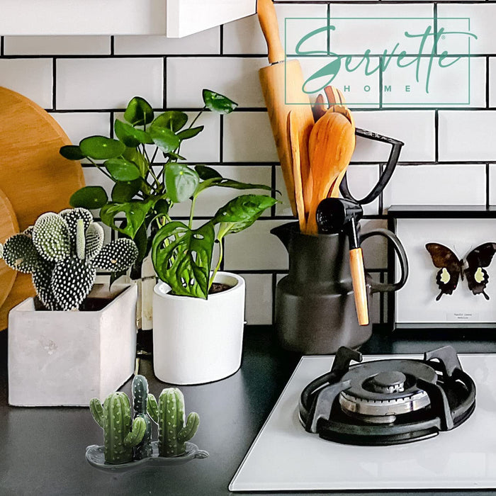 Ceramic Cactus Salt & Pepper Shakers With Tray