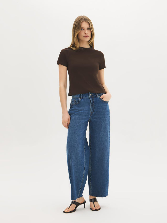 Dk Brown