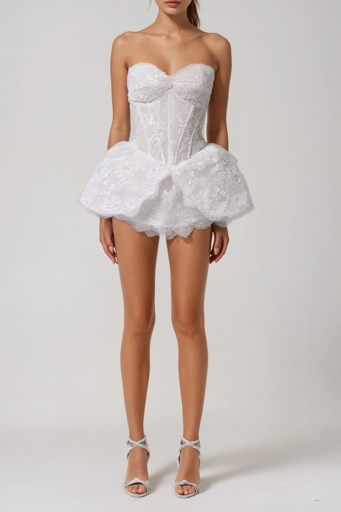 Donal Strapless Corset Lace Mini Dress