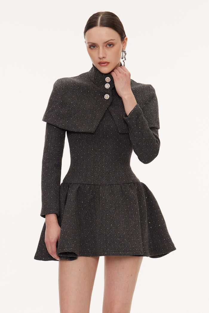 Eirwen Shawl Ruffle Mini Dress