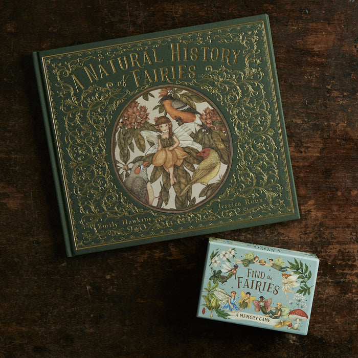 Find the Fairies Memory Game