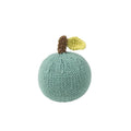 Fruit Rattle Apple
