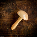 Haberdashery Mending & Repair Tools - Many Options