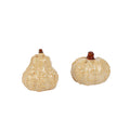 Harvest Salt and Pepper Shakers - White