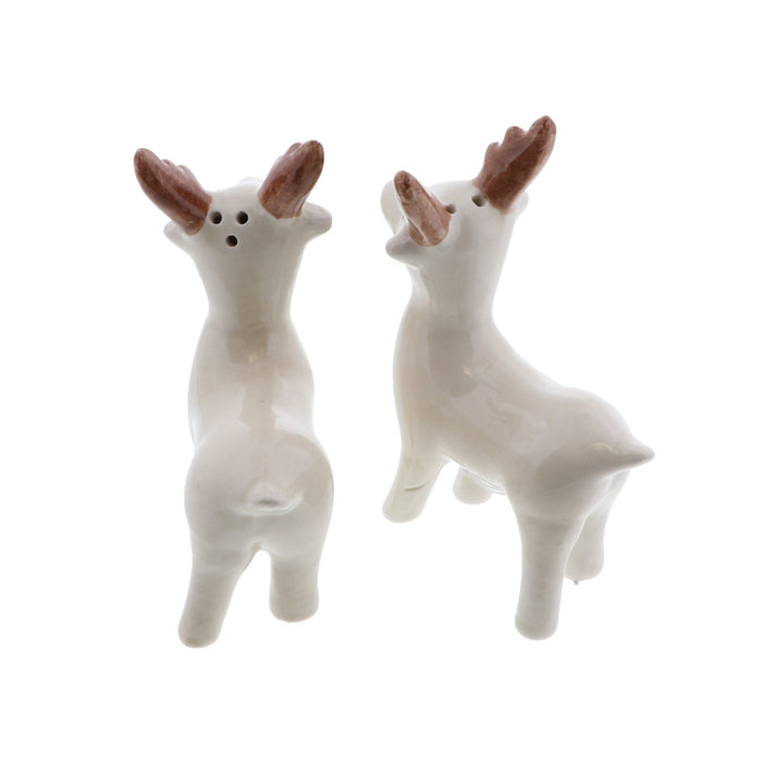 ceramic salt and pepper shakers