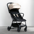 Tan (2450)
