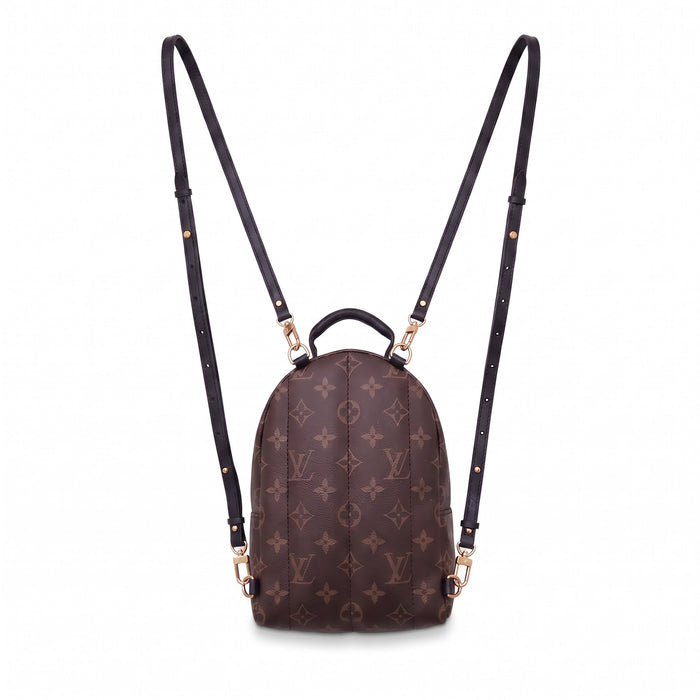 LOUIS VUITTON PALM SPRING BACKPACK