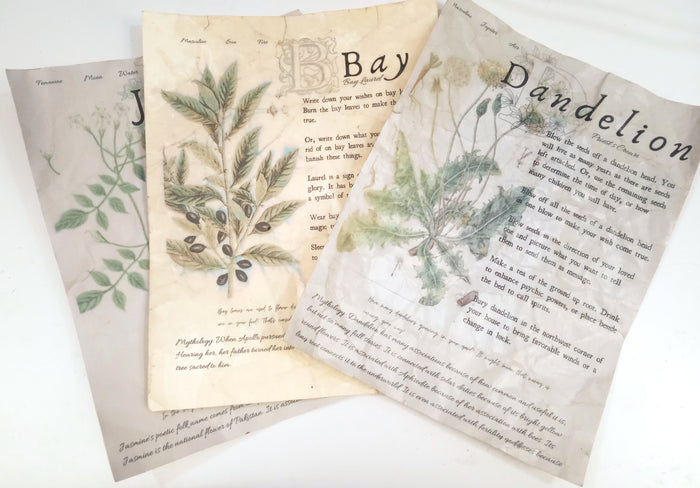 Magical Herbalism Prints