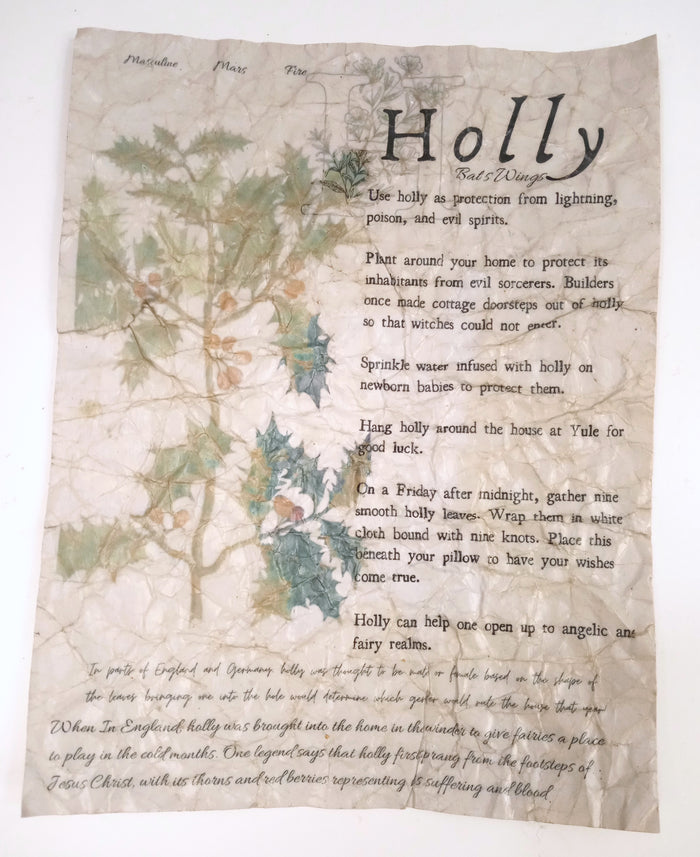 Holly / Distressed