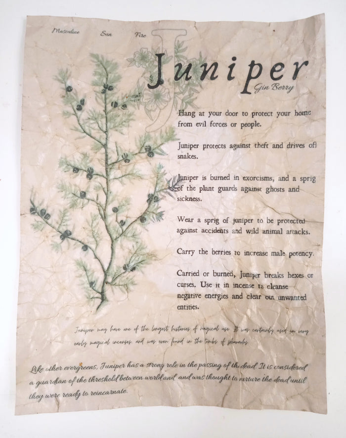 Juniper / Distressed
