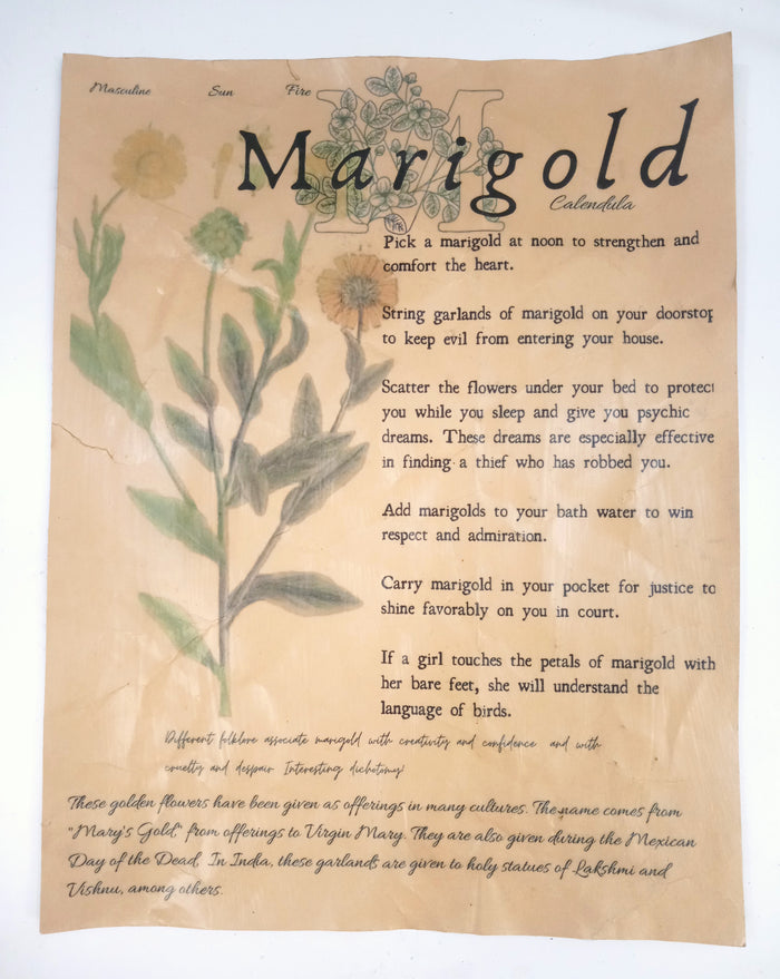 Marigold / Antiqued