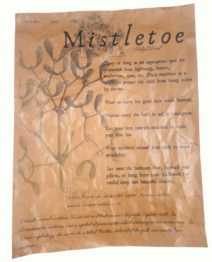 Mistletoe / Distressed