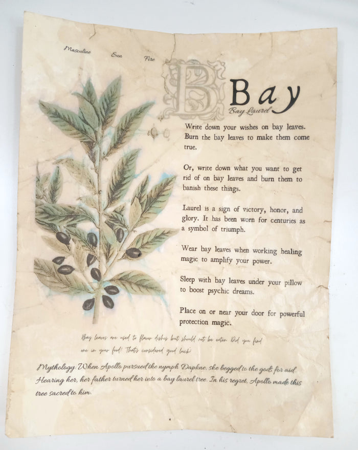 Magical Herbalism Prints