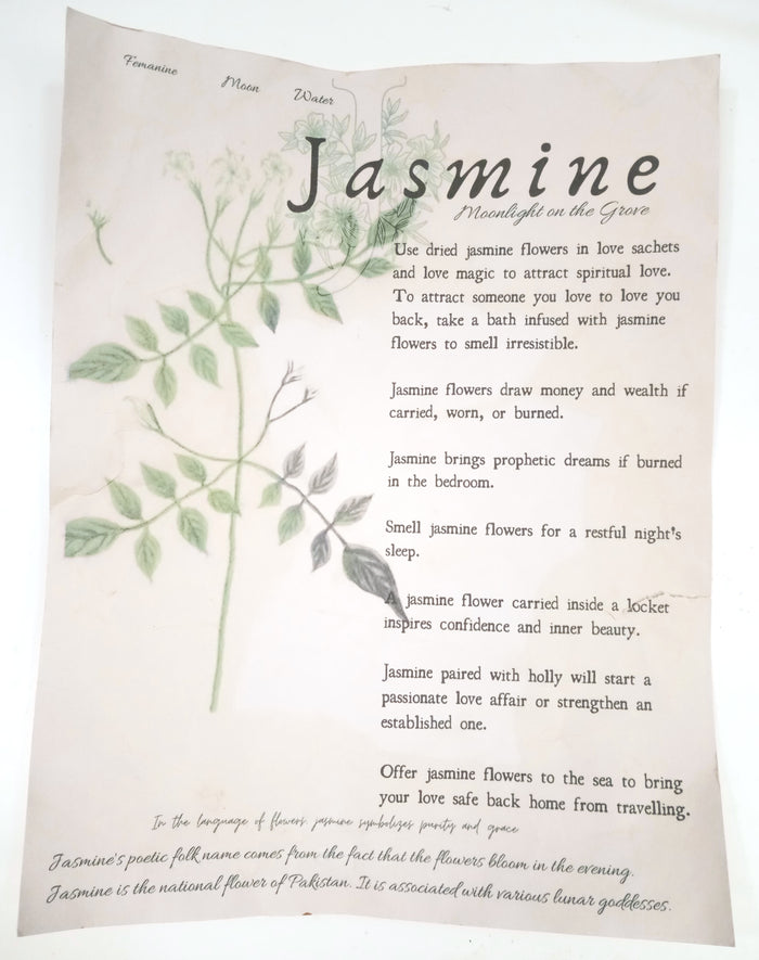 Magical Herbalism Prints