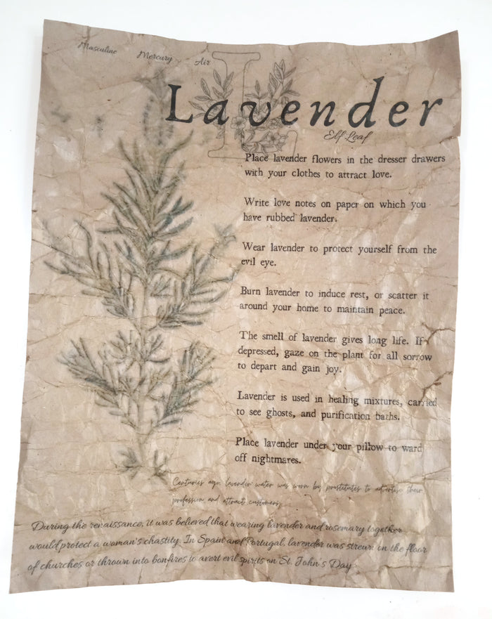 Magical Herbalism Prints