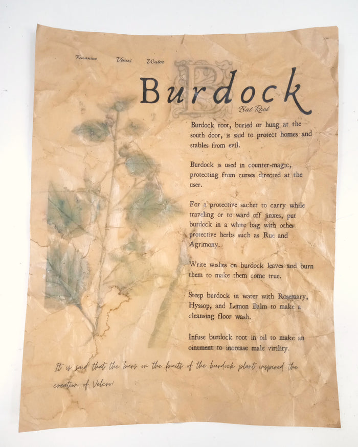 Magical Herbalism Prints