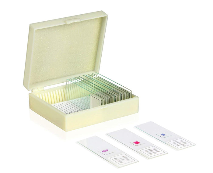 Microbial World Slide Set