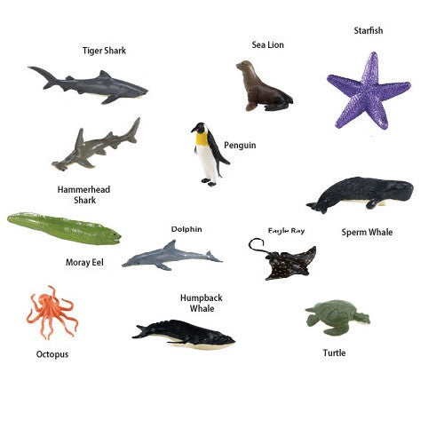 Ocean Toob