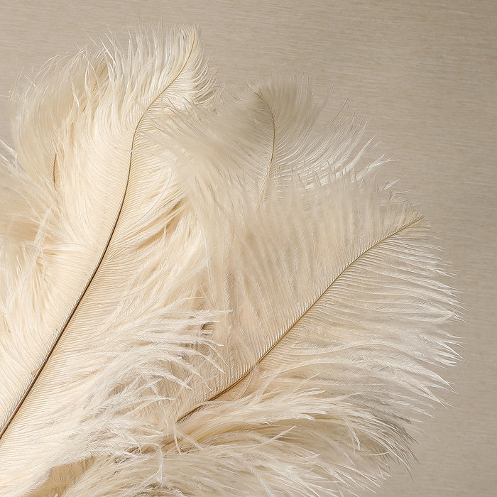 Ostrich Feather Duster