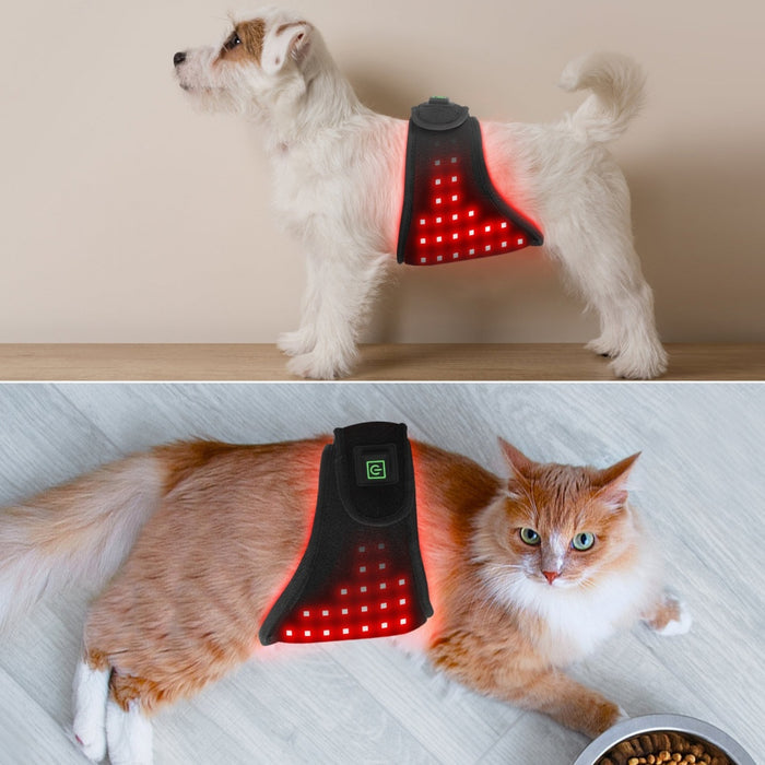 Pet Red Light Therapy Belt – Infrared Pain Relief for Dogs & Cats EELHOE COSMETICS