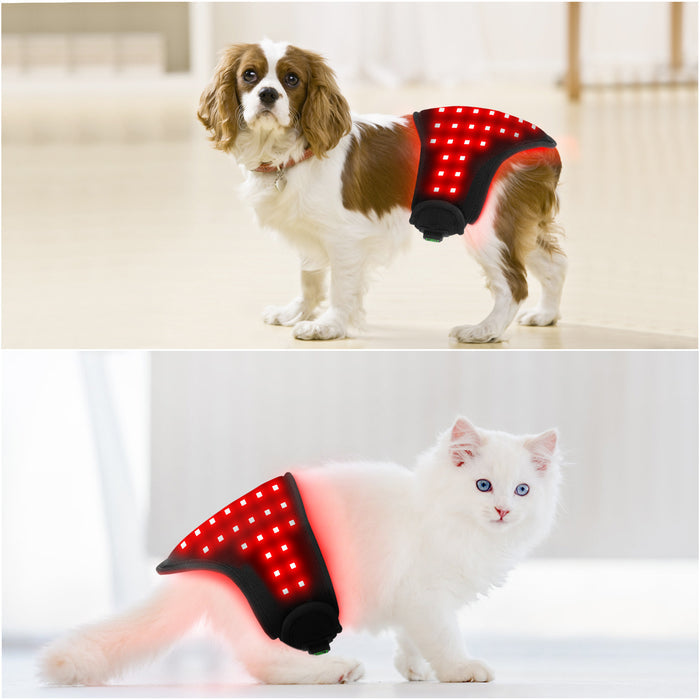 Pet Red Light Therapy Belt – Infrared Pain Relief for Dogs & Cats EELHOE COSMETICS
