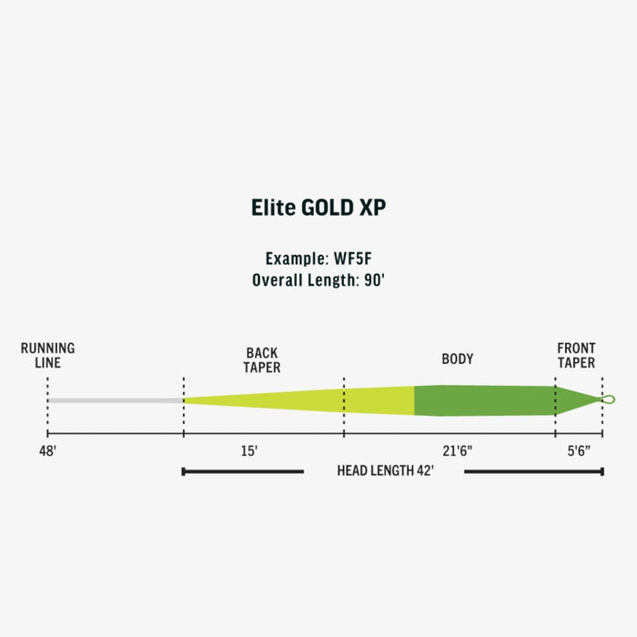 RIO Elite Gold Xp fly line - detail view
