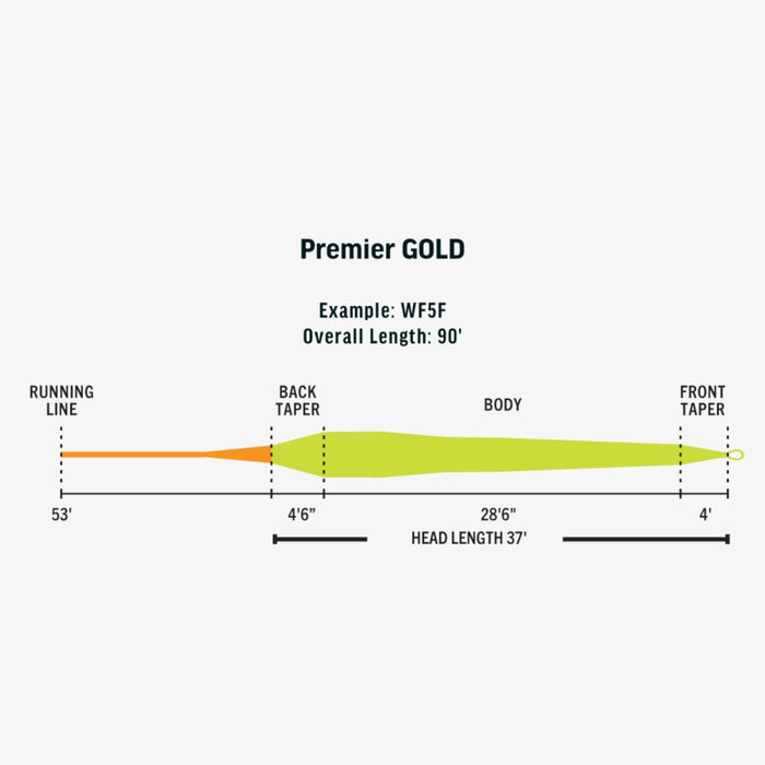RIO Premier Gold Max fly line - detail view