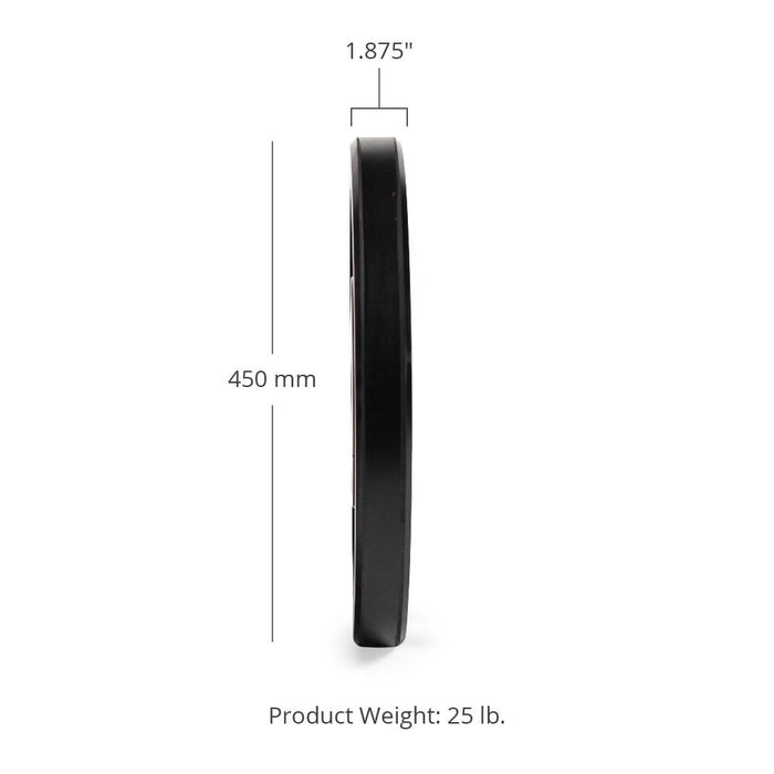 SCRATCH AND DENT - 25 LB Pair Economy Black Bumper Plates - FINAL SALE