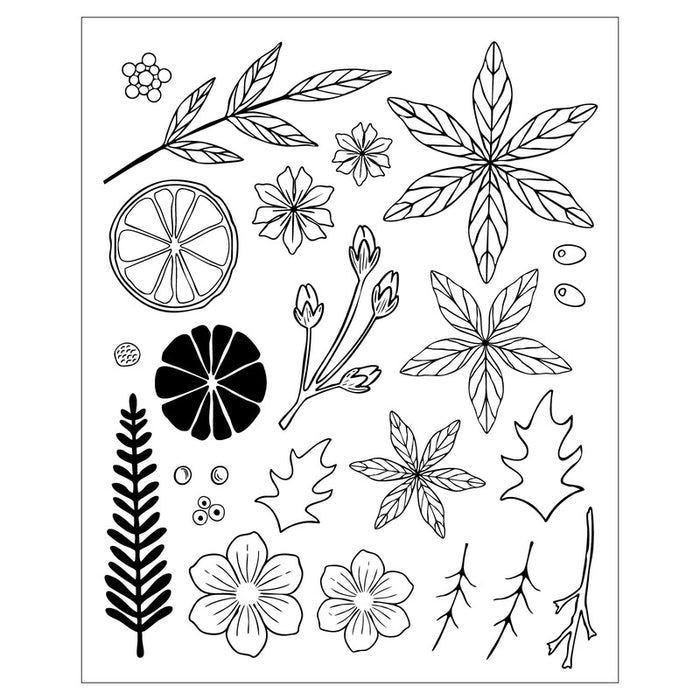 Sizzix - Framelits Die Set w/Stamps by Vicki Boutin - Winter Florals. 24 stamps and 44 dies. Available at Embellish Away located in Bowmanville Ontario Canada.