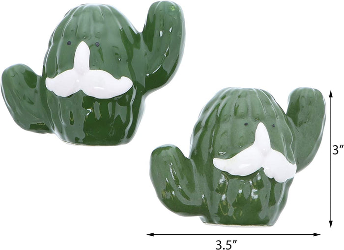 Smiley Cactus Salt and Pepper Shaker