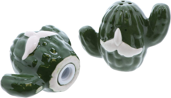 Smiley Cactus Salt and Pepper Shaker