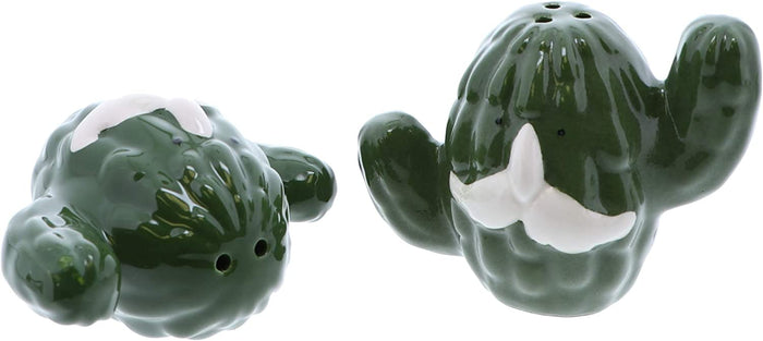 Smiley Cactus Salt and Pepper Shaker