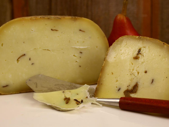 Tartufo Shepherd