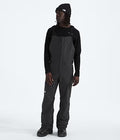 THE NORTH FACE MENS FREEDOM BIB SNOW PANT