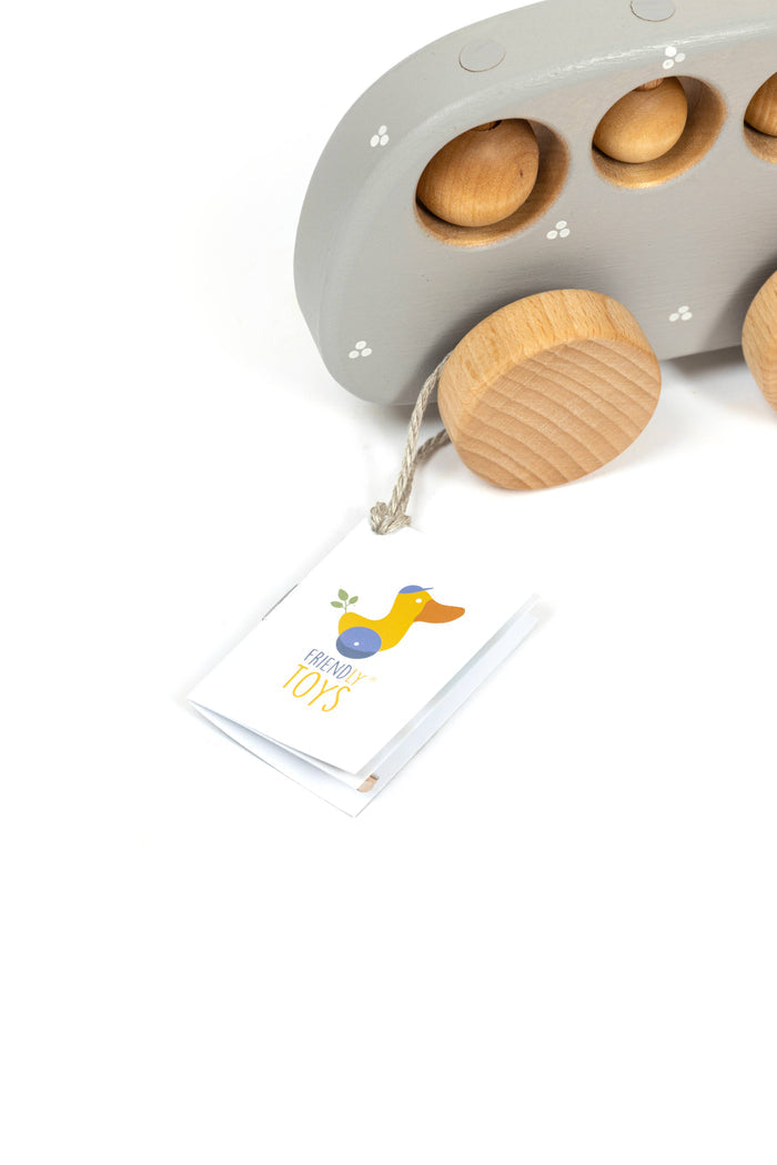 Wooden Push Toy Rattle